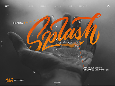SPLASH - Web Lettering
