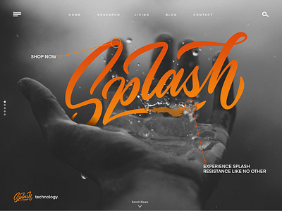 SPLASH - Web Lettering custom fonts design fonts graphic design hand lettering lettering type design typography user interface web design