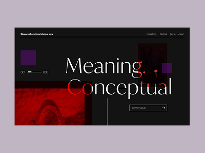 Museum of emotional photography art concept headline interaction design modernism museum photography ui ux web webite