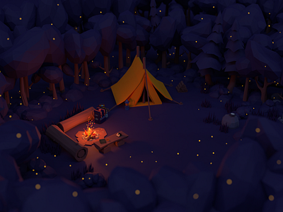 Night Camp