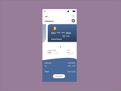 Credit Card checkout dailyui dailyui 002 design illustration ui