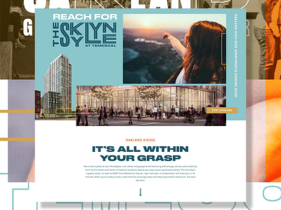 The Skylyne Splash Page design lead capture oakland property real estate splash page ui web web design website