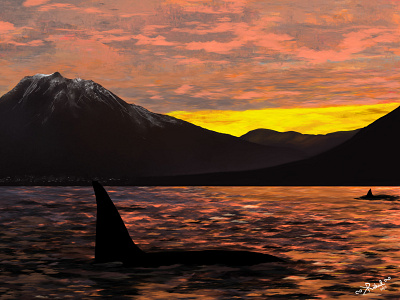 Orcas in a sunset artwork design digital digitalart dribbble graphic graphic design illustration instagram photoshop