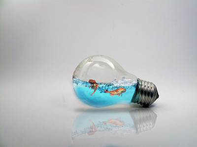 Ocean bulb design icon logo photography photography logo photoshop uidesign vector website