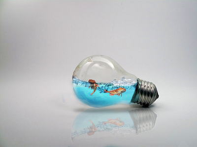 Ocean bulb