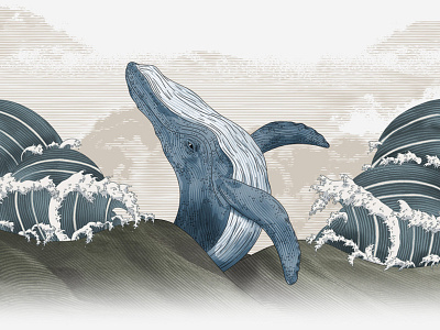 Moana Park - Whale carving digital illustration hand drawn illustration ocean whale wine wine label