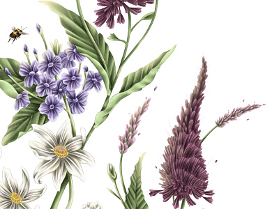 Native NZ Bunch - Close Up bee botanical close up detailed digital illustration floral flower foliage hand drawn illustration