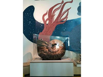 Te Taiao Nature Mural - Ammonite ammonite fossil hand painted illustration mural museum nature squid wall wall art