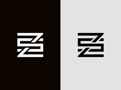 Letter ZS Logo