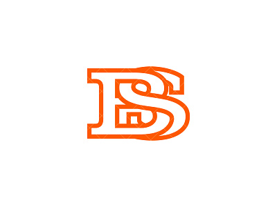 BS Logo