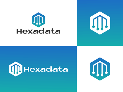 Hexadata Logo Concept branding coreldraw coreldrawx7 data design hexagon hexagonal lineart logo logodesign logogram logos node