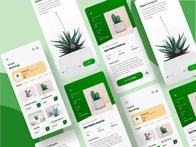 Plant Shop App Concept app designs mobile online shop plants ui