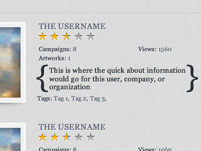 User Portfolio's about campaign ratings tags texture username