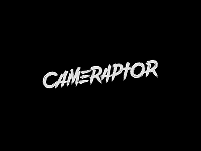 Cameraptor branding brushpen design handlettering lettering logo logotype vetoshkin