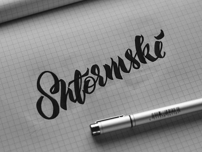 Shtormski / WIP 2 copic design lettering marker shtormski vetoshkin