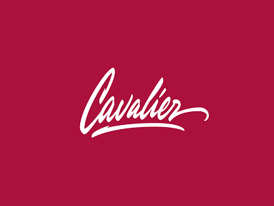 Cavalier branding cavalier design hand lettering lettering logo logotype script sport sportwear streetwear type typography vetoshkin wear