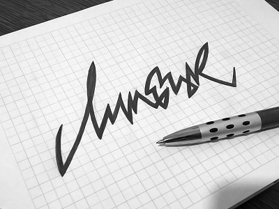 Lipetsk design handlettering lettering lipetsk logo logotype vetoshkin