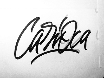 Carioca brushpen calligrahpy design hand lettering lettering logo vetoshkin