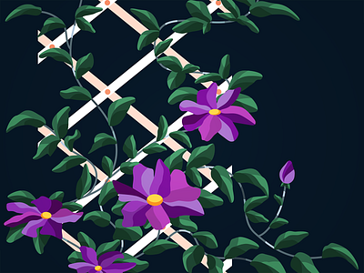 Clematis clematis flower illustration vector wannabelike