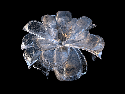 Ice flower 3d c4d cinema 4d flower ice flower wannabelike