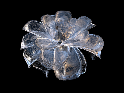 Ice flower