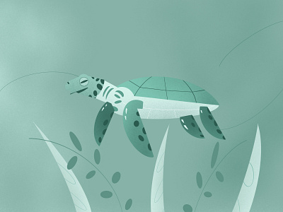 Sea Turtle🐢 design dribbble green illustration illustrator plants procreate seaturtle tosca turtle