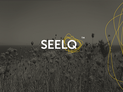 Seelq Logo Concept