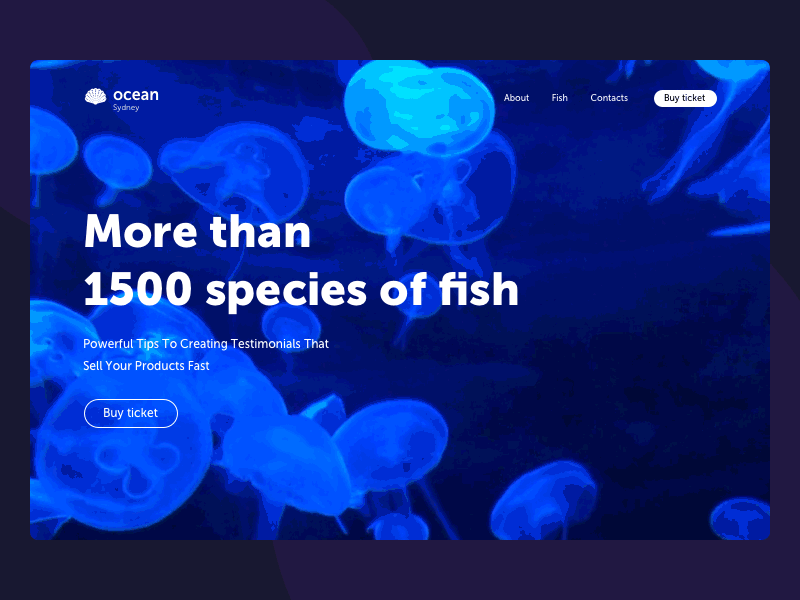 Ocean Website aquarium background jellyfish ocean sydney video