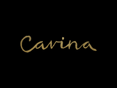 cavina branding identity lettering logo type