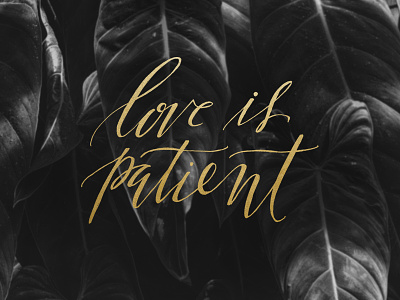 love is patient handlettering typography