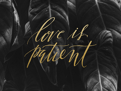 love is patient