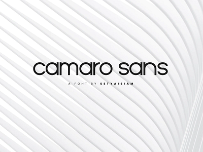 Camaro Sans font font awesome font design font family fonts sans sans serif setyaisiam type typeface typo typography