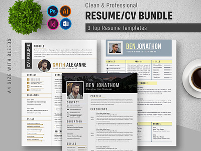 Graphicriver 3 Best  Resume Bundle template