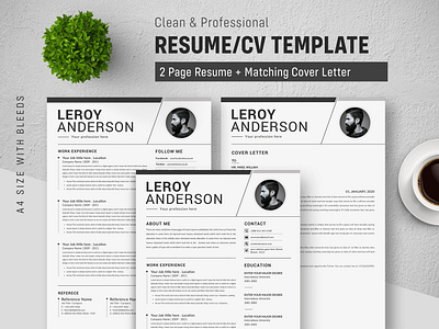 Best Resume template