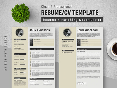 Resume template 2 page resume bundle classic resume clean resume cover letter job resume minimalist resume resume resume download resume template