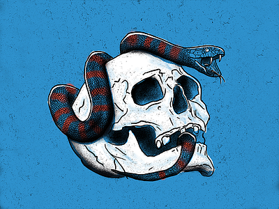 Snakeandskull distressed drawing grunge illustration skull snake tattoo