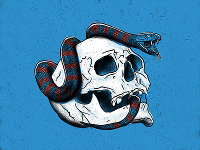 Snakeandskull