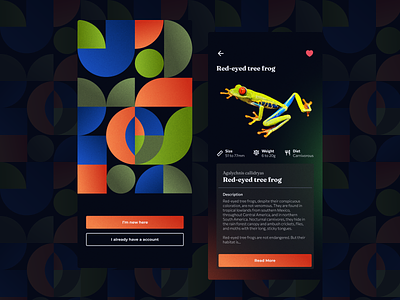 Frog Library App app concept design frog geometric library mobile ui ux