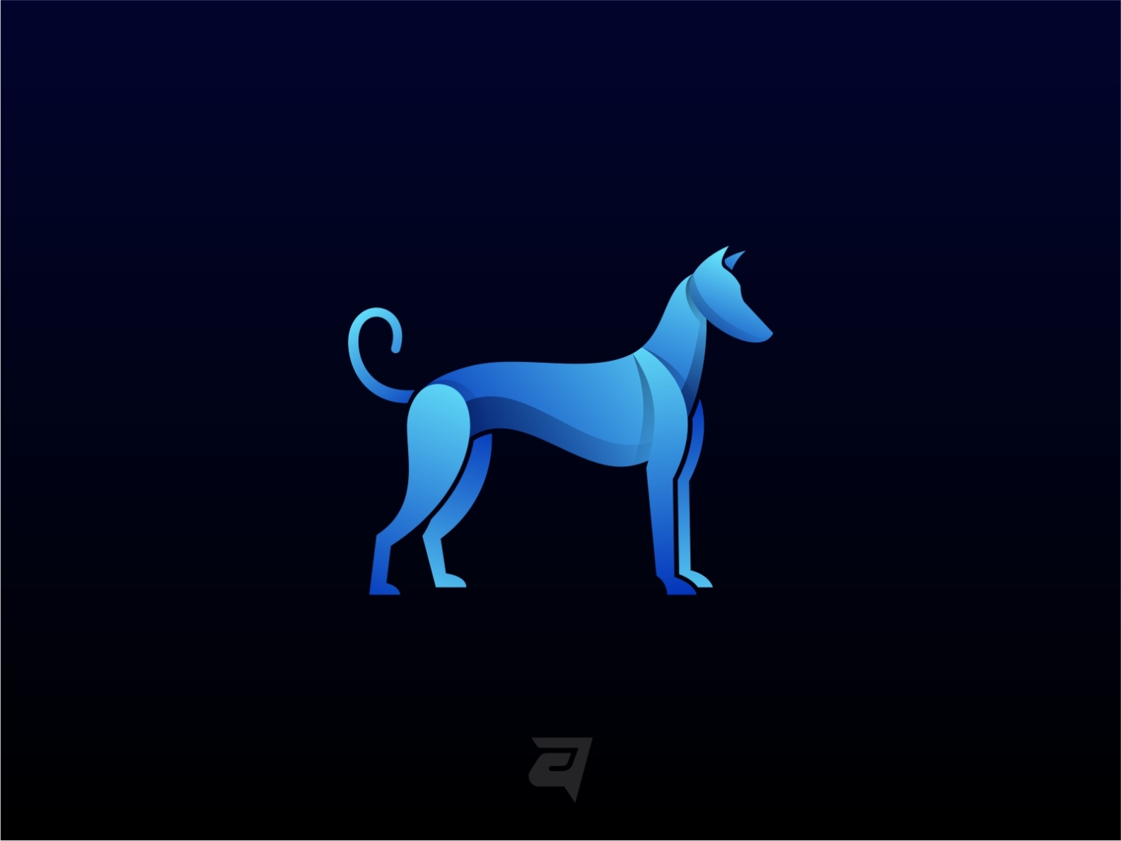 ibizan-hound-colorful-by-artnivora-studio-on-dribbble