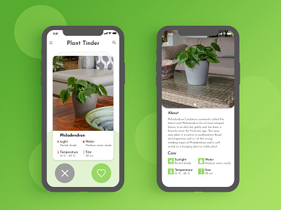 Plant Tinder - #DesignSlices UI Challenge 03