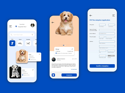 pet dribbble presntation 1600