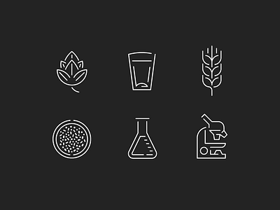 Beer/Science Icons bacteria beer flask glass hops icons lines microscope science wheat