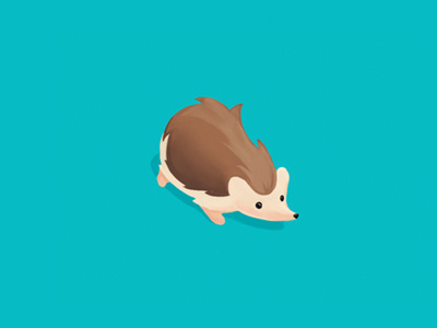 Hedgehog animal flat hedgehog illustration