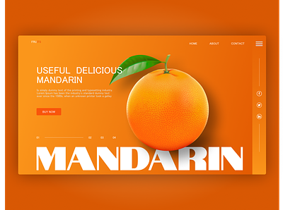 MANDARIN app art design ui ux website
