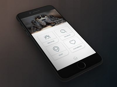 J U M P I N G S P I D E R S app design popup ui uidesign ux