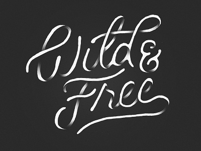 Wild And Free 3d free lettering script shading type typography wild