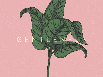 Gentleness illo illustration leaf pink plant type typography