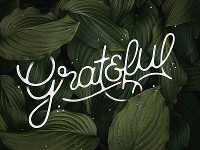 Grateful font grateful hand lettering handlettering handmade illustration leaves lettering photo plant script type typography