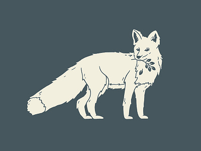 Fox Illustration