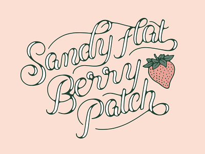 Sandy Flat Berry Patch berry custom flat inline lettering sandy script script lettering strawberry